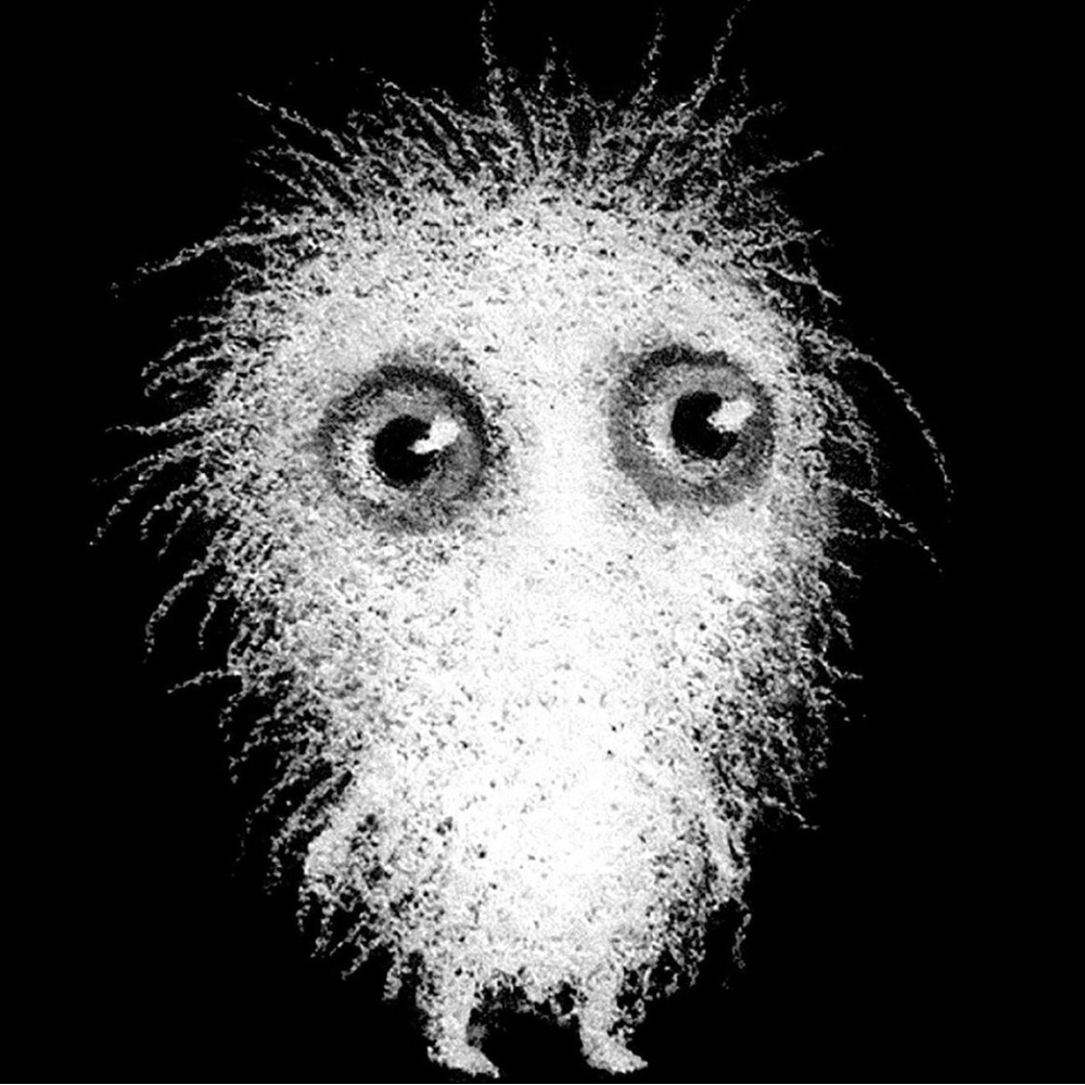 Meet your Posher, Elyse